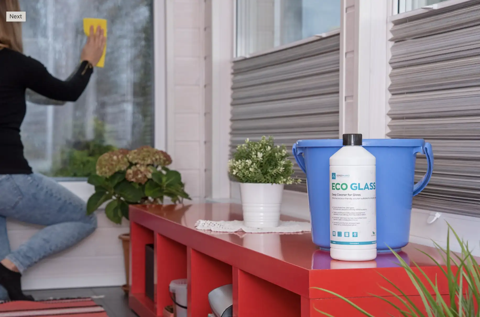 Professional cleaning services