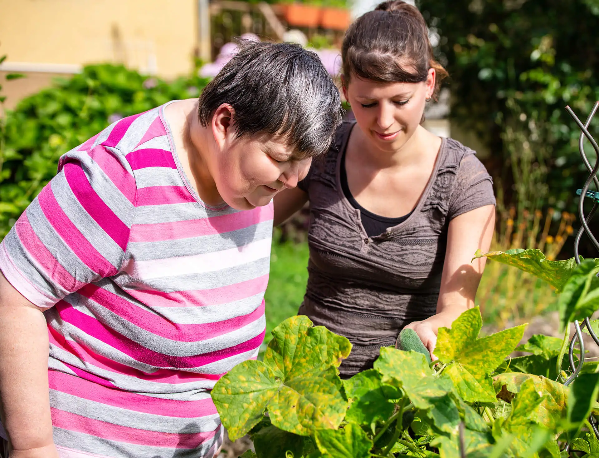 Early Childhood Intervention